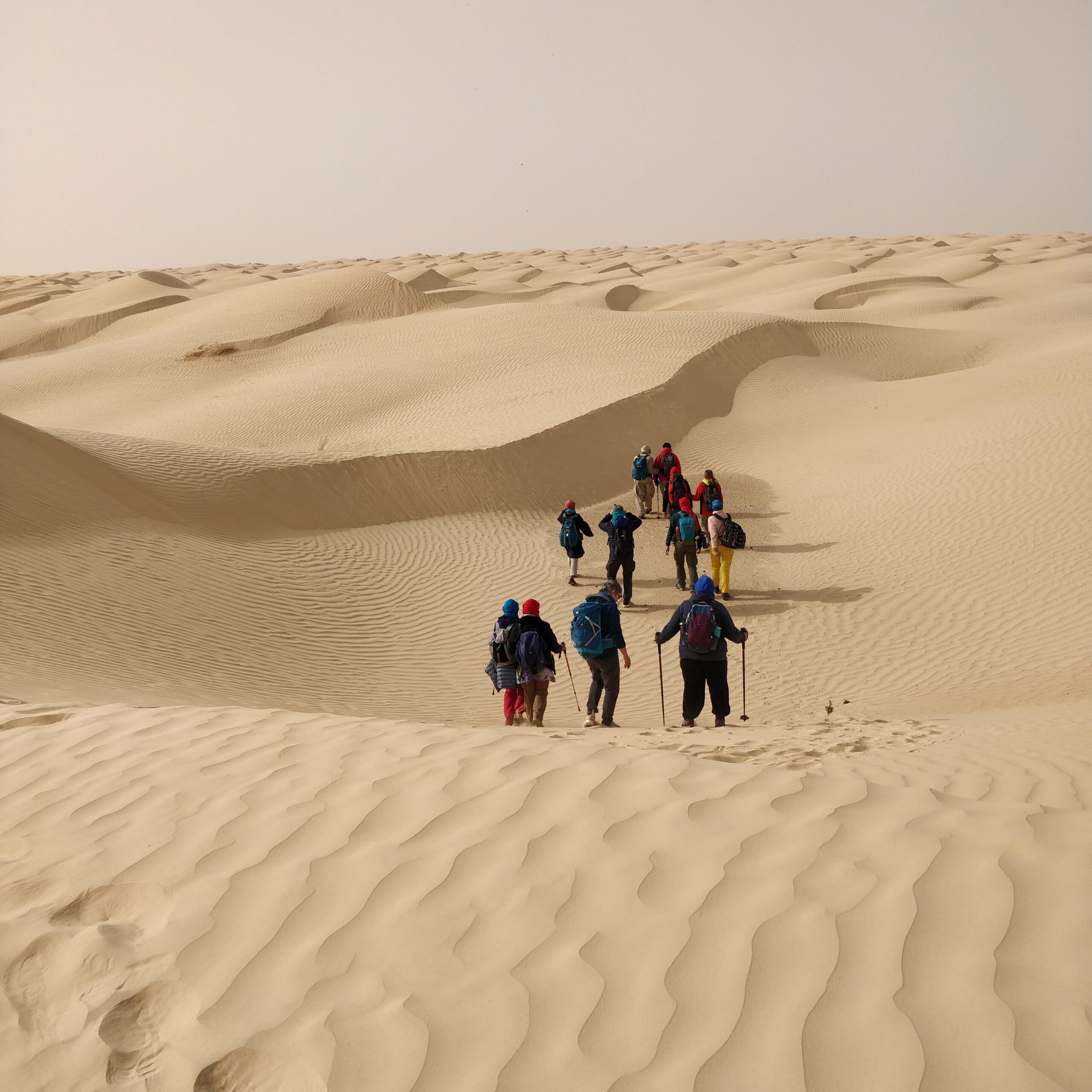 Photo de dunes à perte de vue avec les participants au devant de la scène marchant de dos vers le lointain