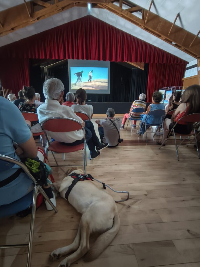 L'assemblée assiste à la projection du film SABLE, les liens du désert, réalisé par Daniel Petitclair lors du voyage de février 2026